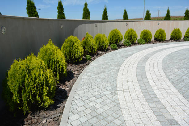 Best Local Driveway Pavers  in Conesus Lake, NY